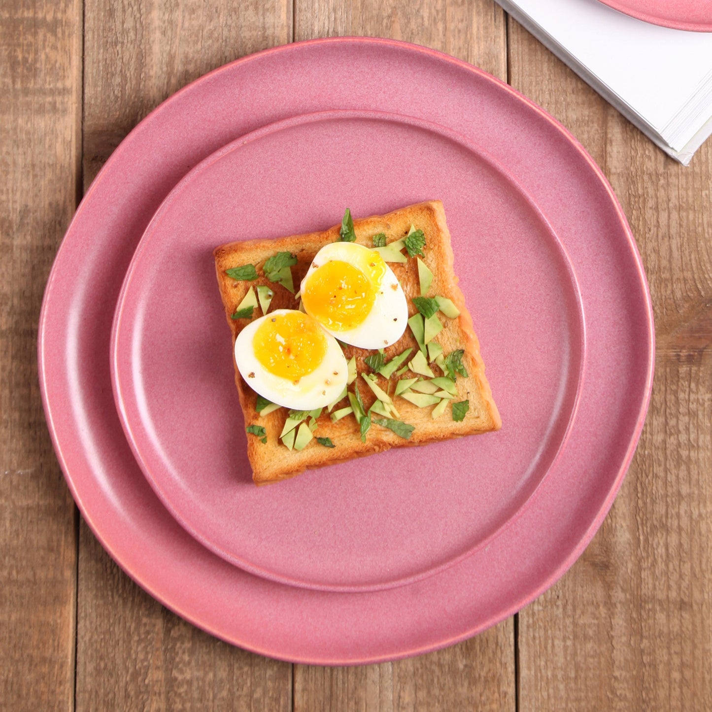 Tom Stoneware Dinner Plate - Pink White